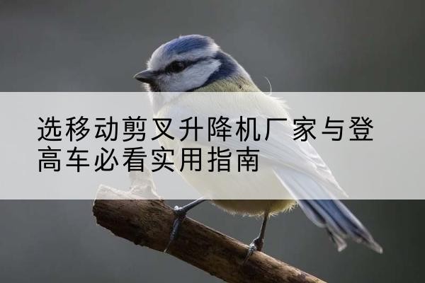 林口电动升降机厂家-选移动剪叉升降机厂家与登高车必看实用指南