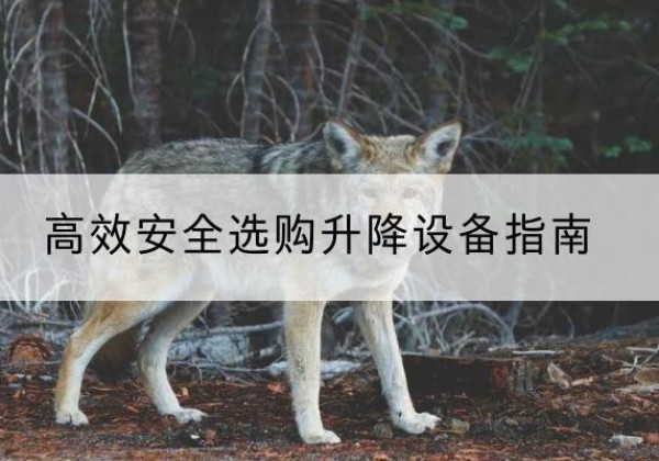 林口升降货梯厂家推荐-*安全选购升降设备指南