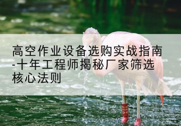 林口剪叉式升降机厂家-高空作业设备选购实战指南-十年工程师揭秘厂家筛选核心法则
